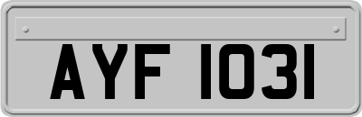 AYF1031