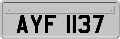 AYF1137