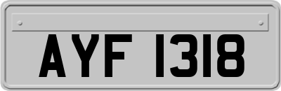 AYF1318
