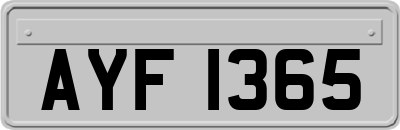AYF1365