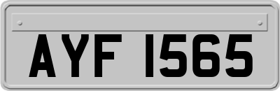 AYF1565