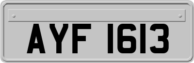 AYF1613
