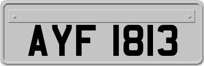 AYF1813