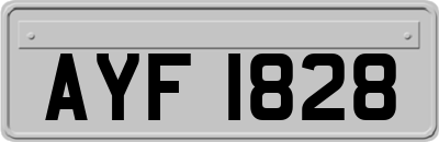 AYF1828