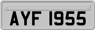 AYF1955