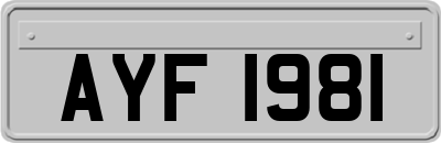 AYF1981