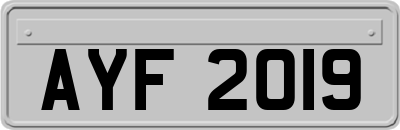 AYF2019