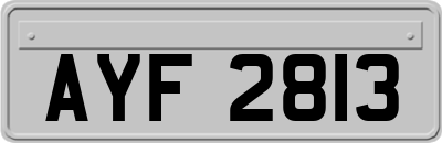 AYF2813