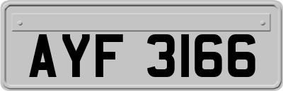 AYF3166