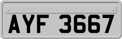 AYF3667