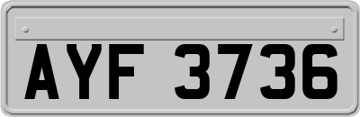 AYF3736