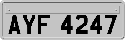 AYF4247