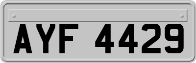 AYF4429