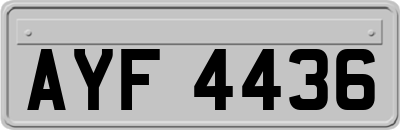 AYF4436