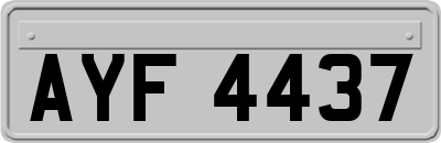 AYF4437