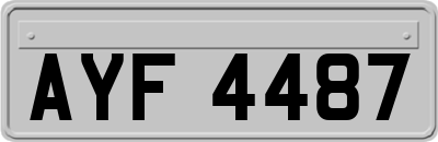 AYF4487