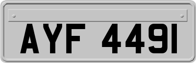 AYF4491