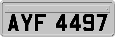AYF4497