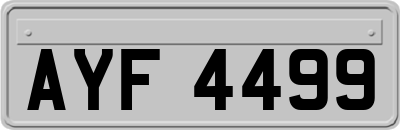 AYF4499