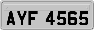 AYF4565