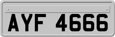 AYF4666
