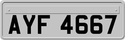 AYF4667