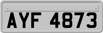 AYF4873
