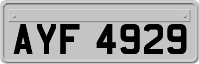 AYF4929