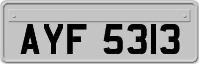 AYF5313