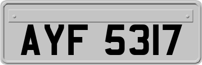 AYF5317