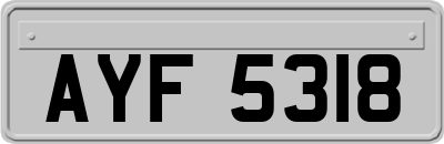 AYF5318