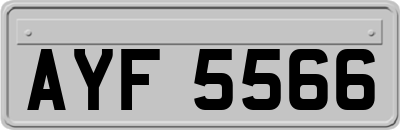 AYF5566