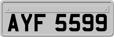 AYF5599