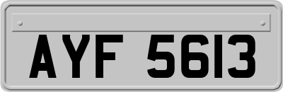 AYF5613