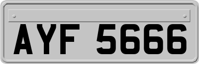 AYF5666