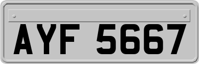 AYF5667