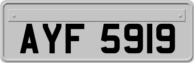 AYF5919