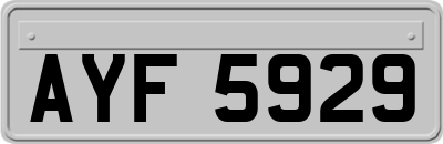AYF5929