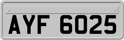 AYF6025