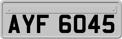 AYF6045