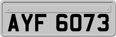 AYF6073