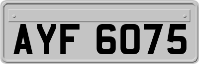 AYF6075