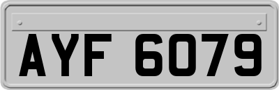 AYF6079