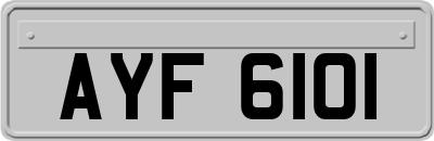 AYF6101