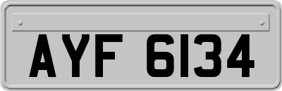 AYF6134