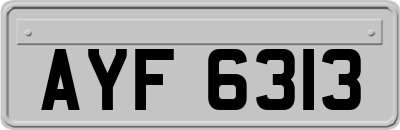 AYF6313
