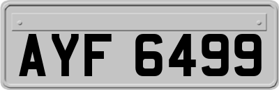 AYF6499