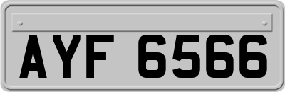 AYF6566