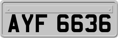 AYF6636