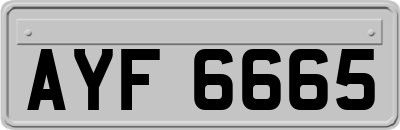 AYF6665